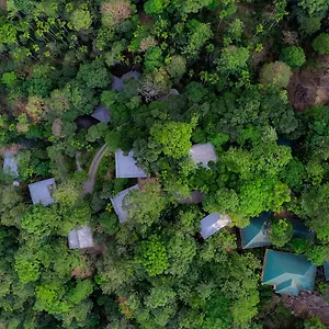 Hotel The Hive,, Wayanad